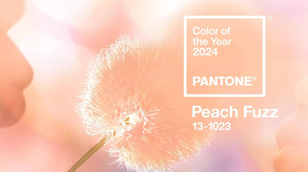 Pantone peach fuzz (3).jpg