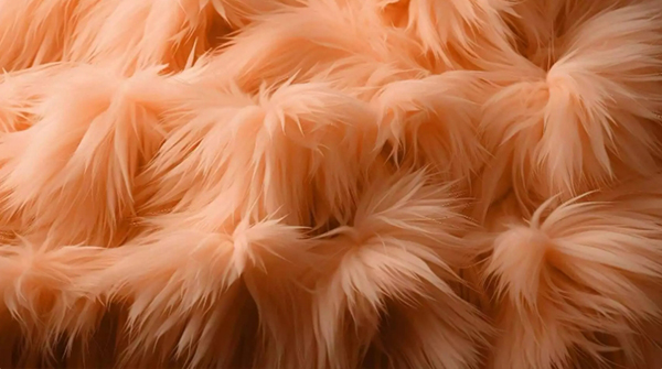 Pantone peach fuzz (5).jpg